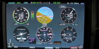 Dynon Skyview Touch