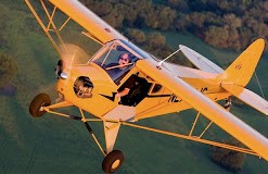 Legend Cub Rebate Offer