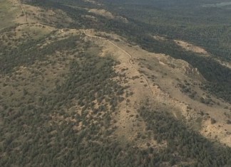 Not – So Great Wall of the Pine Nuts
