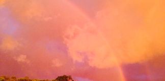 Surviving the Storm