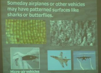 Imagining New Aircraft Wings from Shark Skin