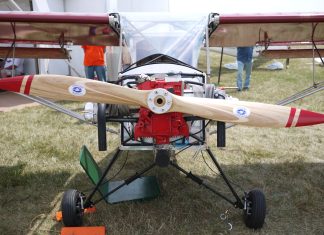 Belite Delights With Its Ultra Cub Look-Alike