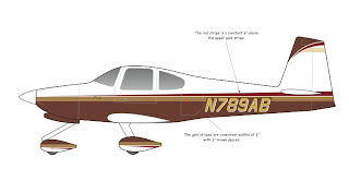 Amy's RV-10: That Ole Paint