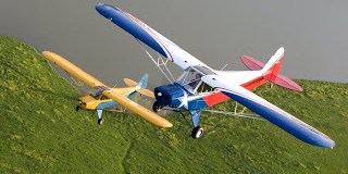 News: Cheap(er) Cubs for Sun 'n Fun