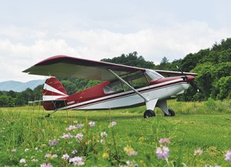 Bearhawk LSA