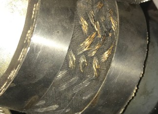 Brittle Hose