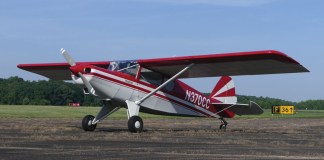 The Three Bear(hawk)s