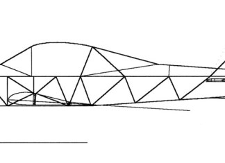 Design Process: Size, Bones, and Balance