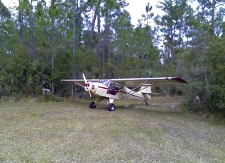 Little Bird the Kitfox