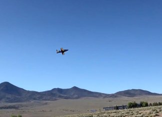 Loki the SubSonex Jet is a Free Bird!