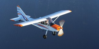 Orso d’Italia