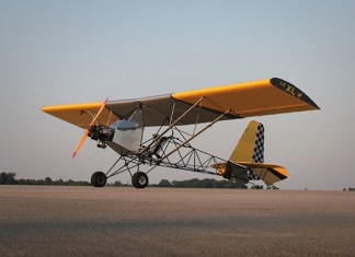 Legal Eagle XL