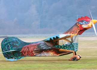 When the Rooster Flies