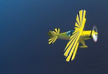 Steen Skybolt