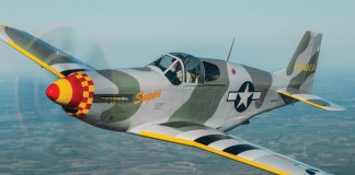 Marvelous Mustangs