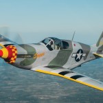 Marvelous Mustangs