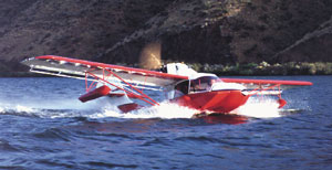 9017606