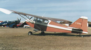 9060007