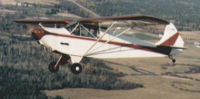 9060011