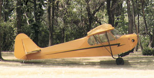 9061002