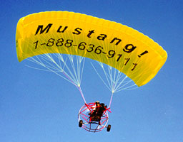 916023501