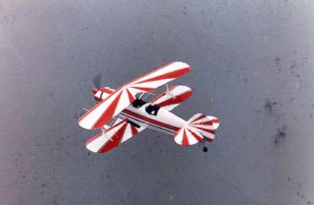 9196003