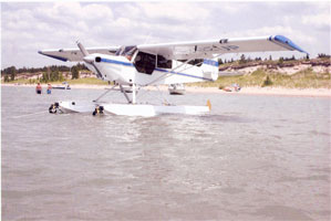 9204501 6