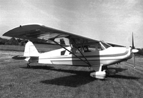9231002