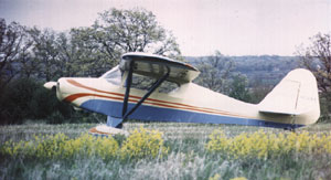 9231003