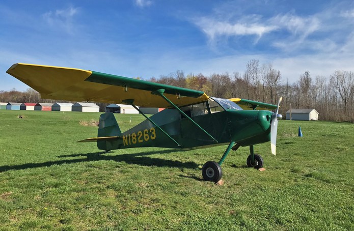 luceair wittman buttercup