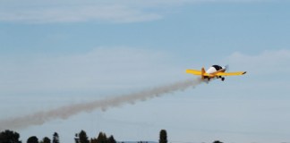 The $250 Smoke System