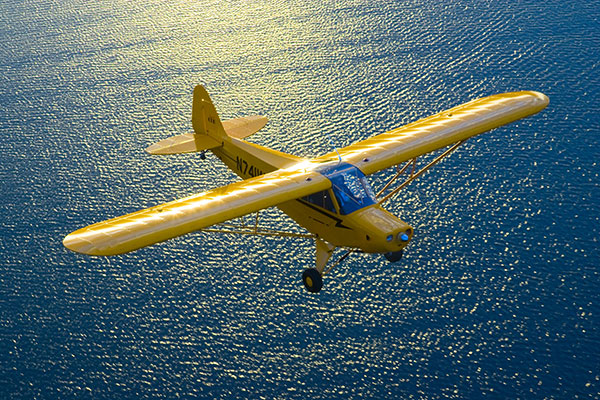 American Legend Cub Special thm