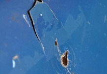 Cracks, Both Foreign and Domestic