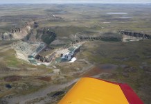 Arctic Flight