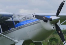 Bearhawk 5: An Interview With Mark Goldberg