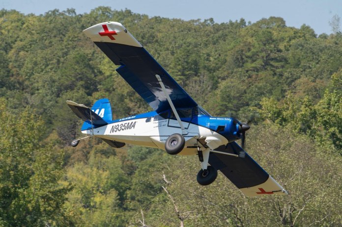 Bearhawk Five