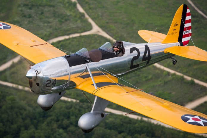 timber tiger