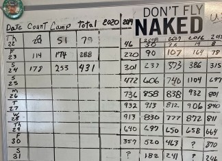 Homebuilt Parking and Camping Numbers Beating Records Early On