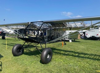 Javron Cub Double Take