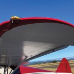 Design Process: Wingtips