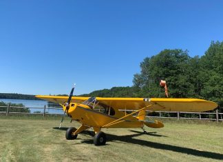 Gervae Cub Special