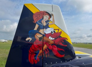Postcards from Sun ‘n Fun 2022