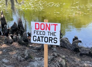 They’re Not Kidding!