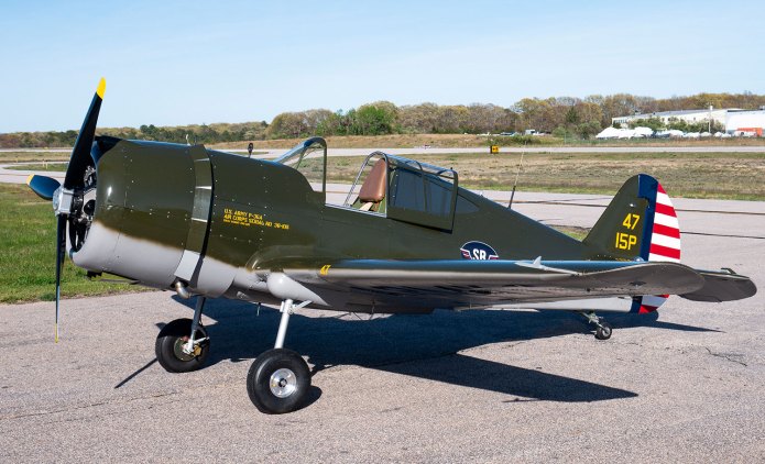 ScaleBirds P 36 40 LiteFighter