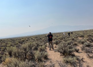 Through the Smoke: Seeing the Unlimiteds