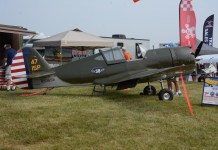 ScaleBirds P-36 Flies