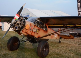 Patina Cub