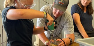 Sheet Metal 101