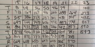 The Homebuilt Count