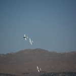 reno 2023 postcards 48
